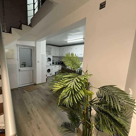 Alvarenga House Maia  Zewnętrze zdjęcie
